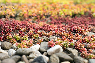 AdobeStock_171763472.jpeg