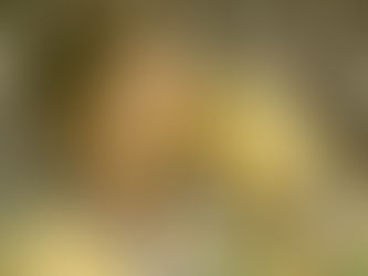 Buffon beendet seine Legendäre Karriere 🏆🥇