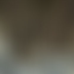 Deutsche Truppen nach Grönland?