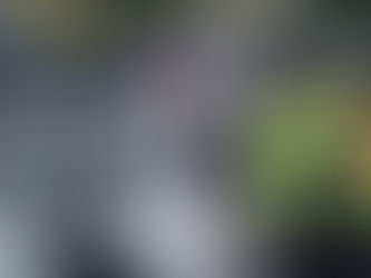 Das sind die CDU-Migrationspläne - und wie die anderen Parteien reagieren
