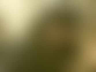 French journalist Arman Soldin killed in Ukraine