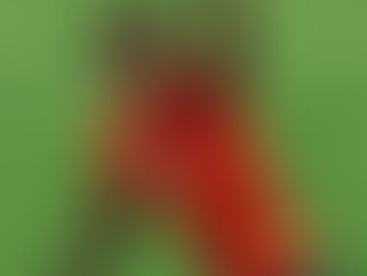 ⚽️ Traumtor von Yamal! Spanien 🇪🇸 ist im Finale!