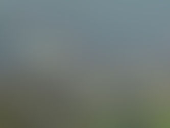 Polen beschuldigt Russland für Explosion auf Bahnstrecke