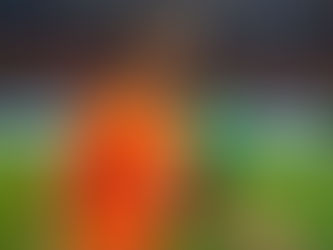 The Ivory Coast 🇨🇮 wins the Africa Cup 🏆