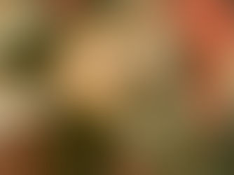 Nagelsmann soll neuer DFB-Trainer werden