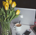 Yellow Flowers and Laptop