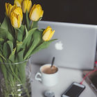 Yellow Flowers and Laptop