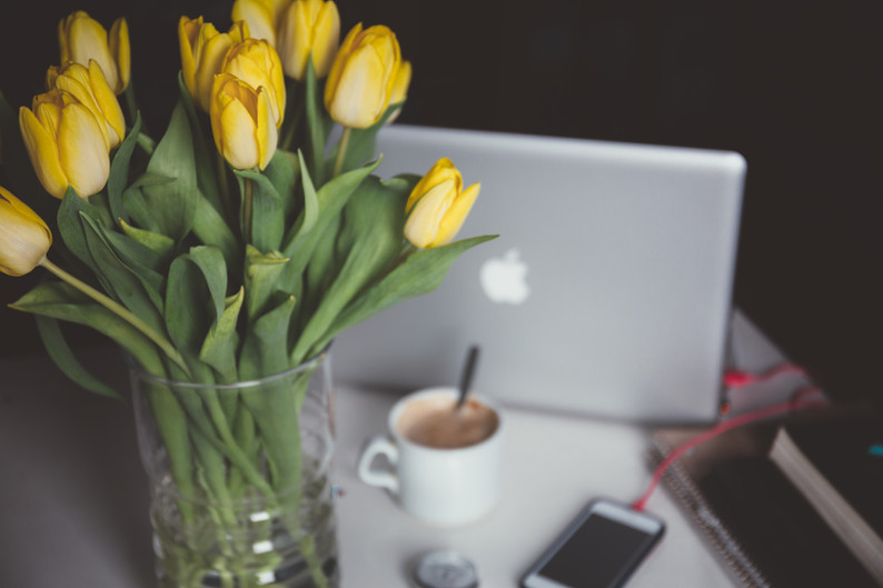 How to Became a Successful Blogger?