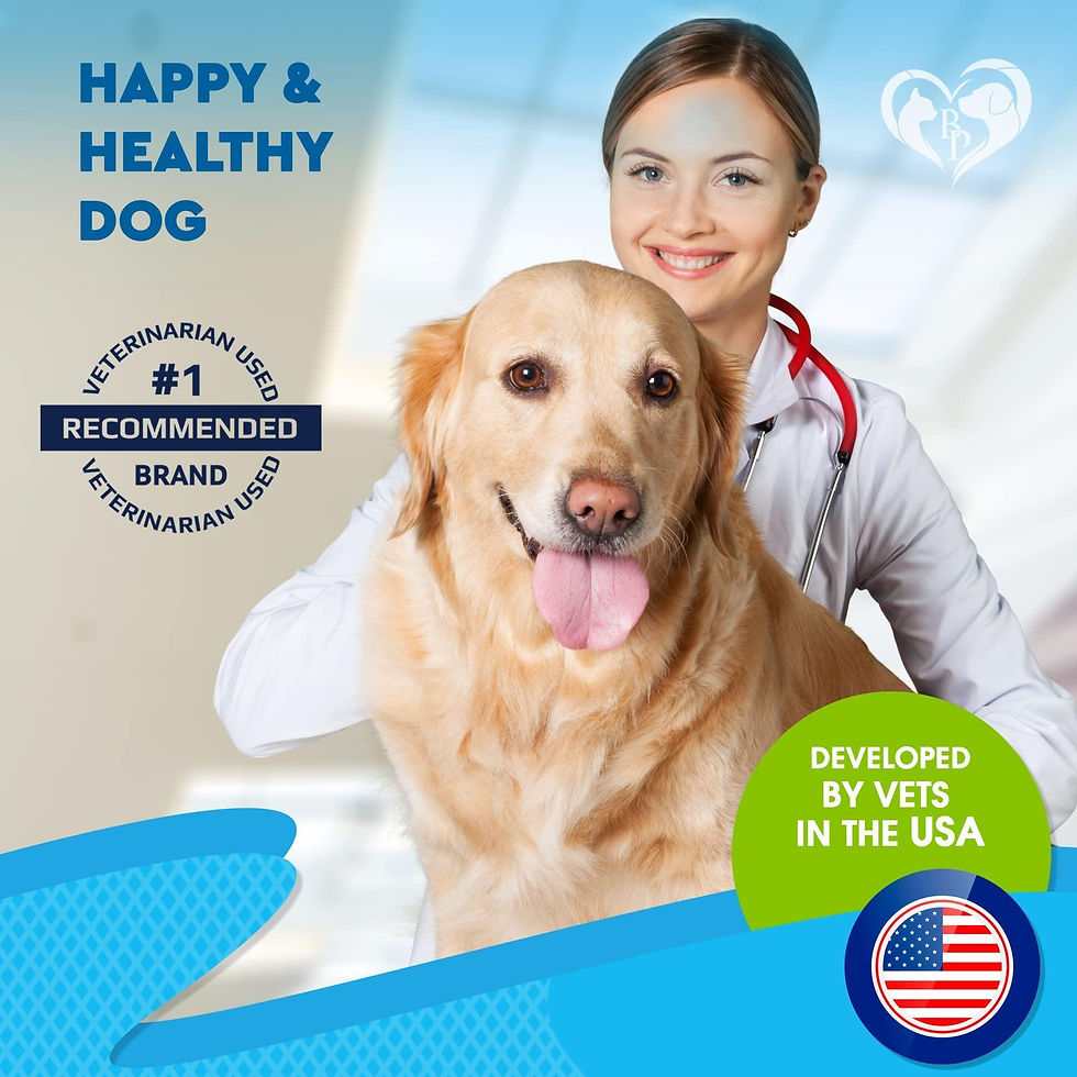 Thumbnail: Kennel Cough Treatment Natural Infection Medicine for Dog Cats Cold Cough Relief