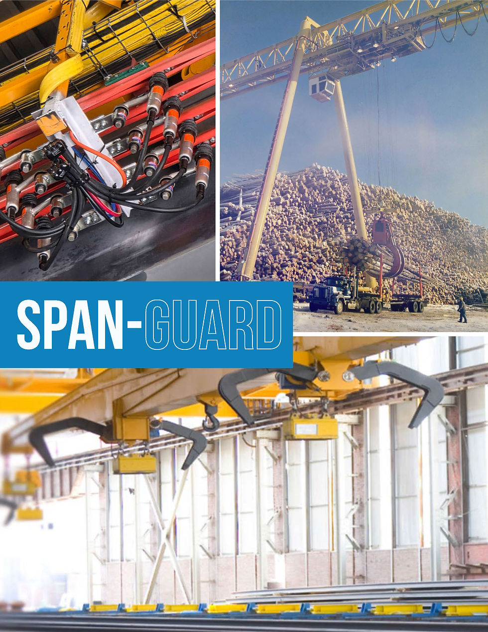 SpanGuard Product Guide_CoverAlt.jpg