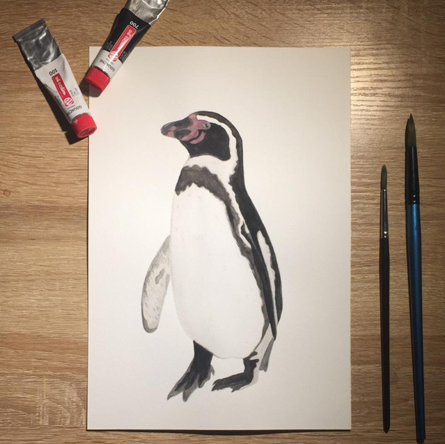 35. Pingüino de Humboldt