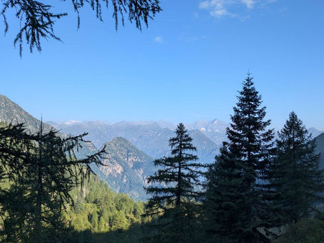 Im Blaubeerenland zu den Gipfeln