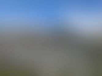 Steinwüste mit Grün