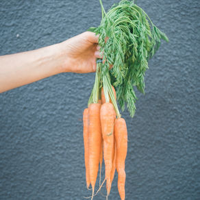 Broodje Knakwortel met gegrilde paddenstoelen, tahina dip & dukkah van Nadia Zerouali