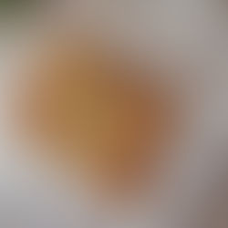 Plaattaart met knoflook van Hanneke de Jonge, Culinea