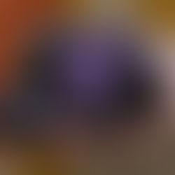 Frittata, een hartige aardappeltaart, van restaurant Le Mirage Emmeloord