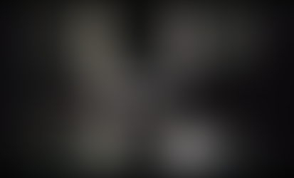 TRAILER: The Passion Behind yinRoot