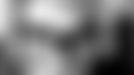 Artist Regina L. Willard