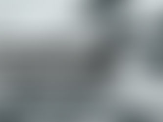 Yankees Fan Will Need an Accountant After Catching Aaron Judge's Record-Breaking Home Run Ball