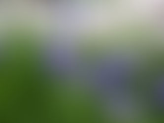 必ず新しい生命が 誕生