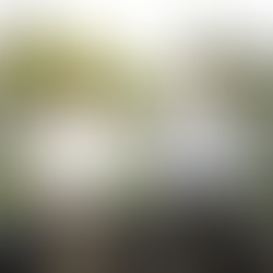 Interview: Morning Harvey