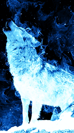 Ice Fire Wolf Wallpaper Thaliaapps