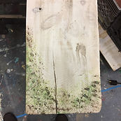 Moss Covered Sample Board