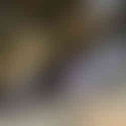 Justice pour les victimes en République Démocratique du Congo : une réunion stratégique de Katambayi Tshiminyi Association à Kinshasa pour promouvoir vérité, justice et réparation dans le cadre du processus de paix.