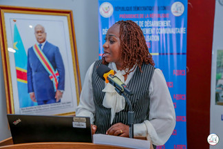 Photo de l’atelier national P-DDRCS à Kinshasa