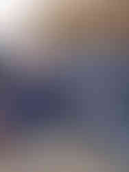 Remise de brevets aux experts CONADESI à Kolwezi, juin 2025 – Session de formation sur le désarmement et la sécurité