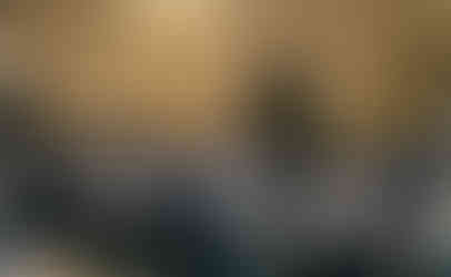 Photo de la remise des brevets de formation CONADESI au Kasaï Oriental par les autorités provinciales.