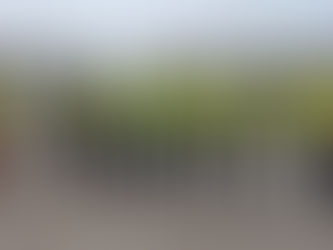 Companhia Docas do Ceará recebe comitiva da Secretaria Nacional dos Portos para avaliar licitação no MUC 03 no Porto de Fortaleza