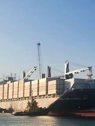 Porto de Fortaleza recebe 1º navio da safra de frutas com destino à Europa