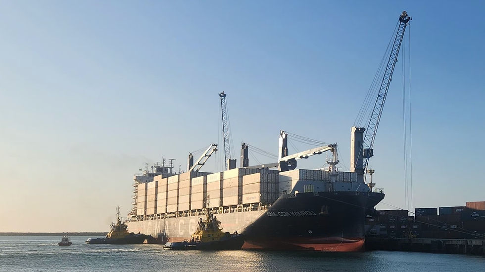 Porto de Fortaleza recebe 1º navio da safra de frutas com destino à Europa