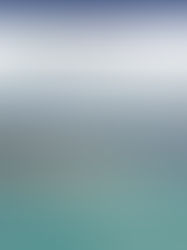 Companhia Docas do Ceará anuncia novo site e aumenta o foco sobre o tema transparência