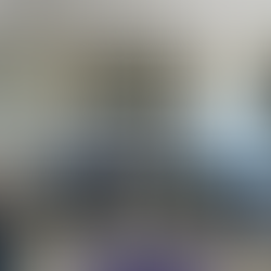 INFRA S.A. Visita Diretoria da CDC