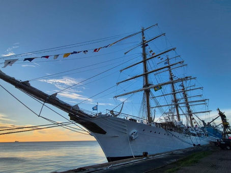 Porto de Fortaleza encerra visitação ao Ara Libertad com 2 mil pessoas