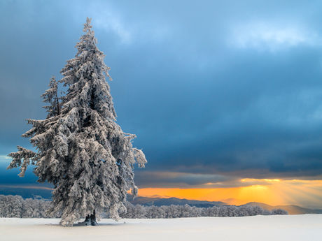 Winterzauber liegt in der Luft