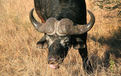 southafrica-02-5_orig.jpg