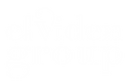 elviden_logo-white.png