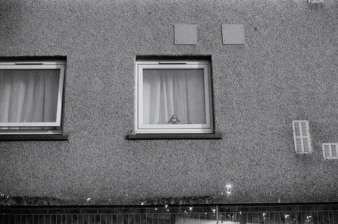 Monkey - 26 of 41.jpeg