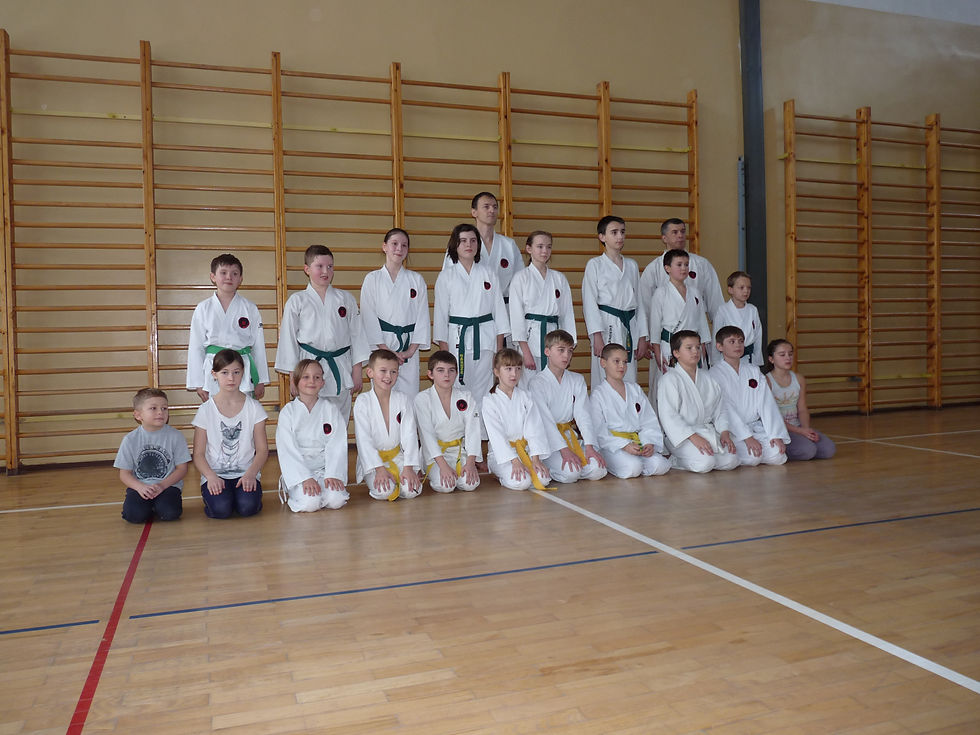 Egzamin Karate 2013