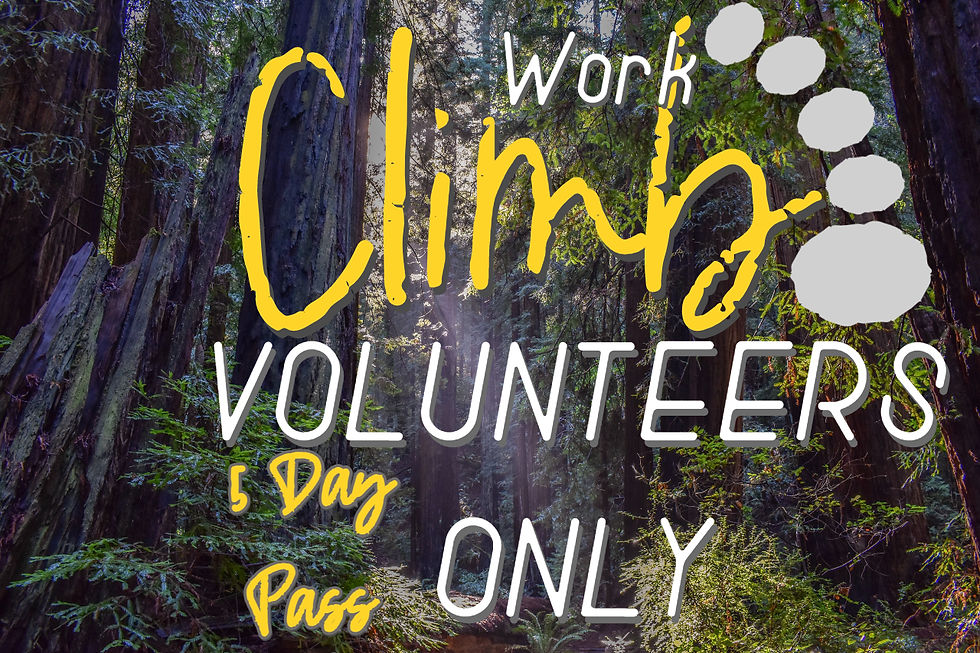 Work Climb Volunteers Only