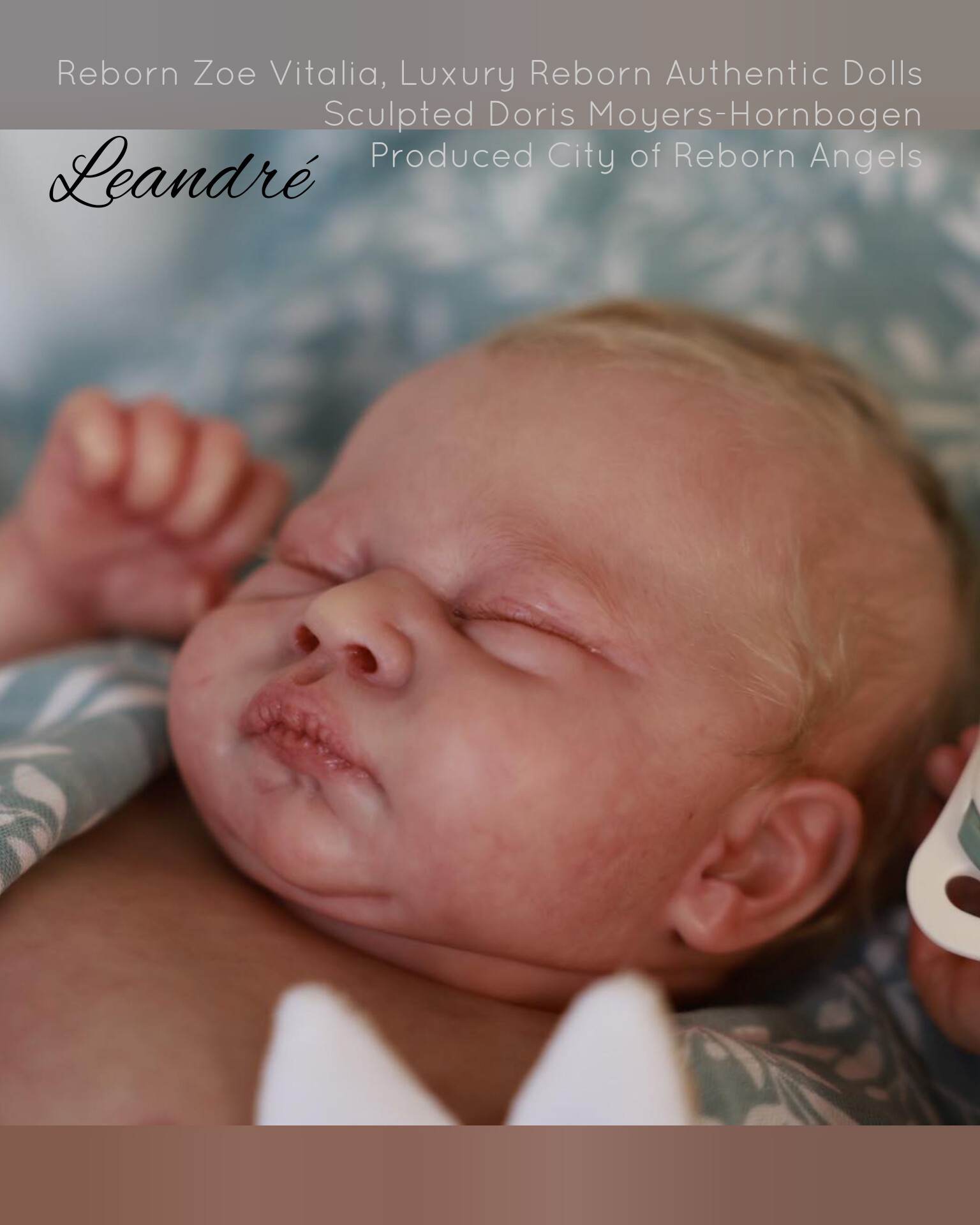 Alternate source-attributed photograph of Leandre by Doris Moyers-Hornbogen