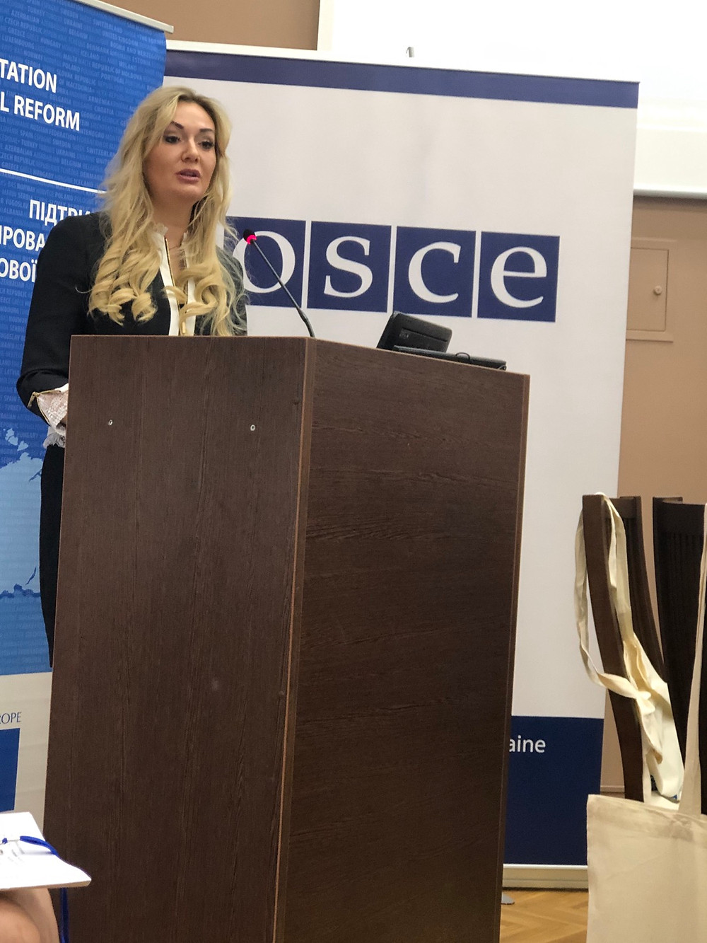 Адвокат ЄСПЛ Киів