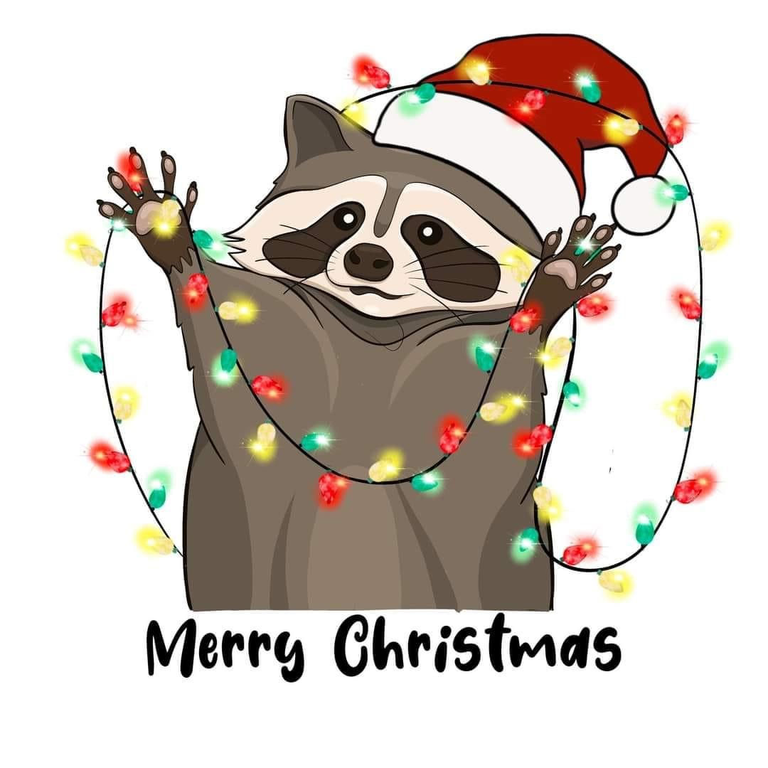 Christmas Raccoon Print