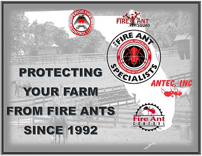 FLORIDA-SIGN-FOR-WALL-FOR-HORSE-FARMS.jpeg