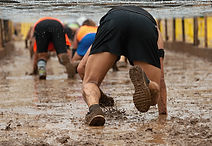 Circuit training