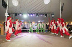 A TASTE OF LEBANON FESTIVAL 2014