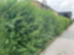 IMG-20230628-WA0001